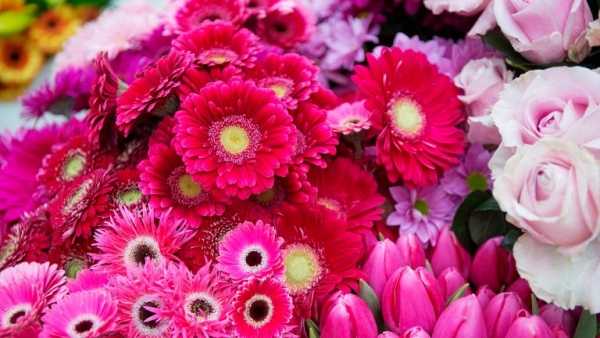 Floradecora